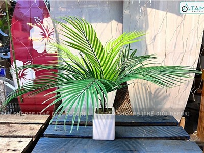 Chậu cây dừa giả 9 lá Tropical CHHGL-13